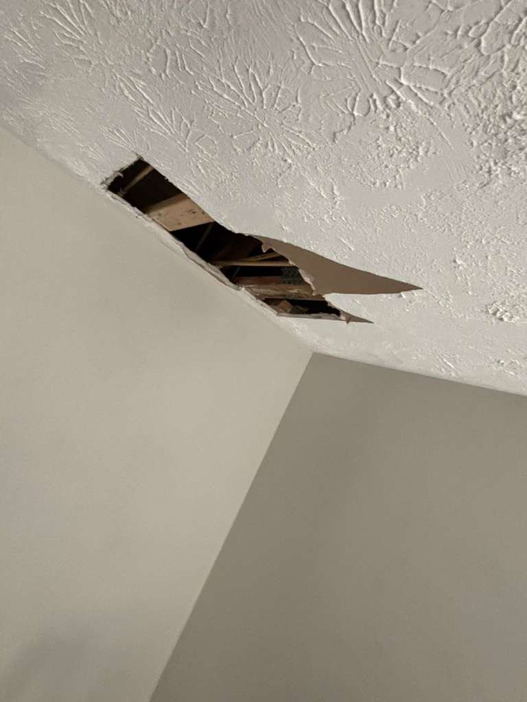 URI Painting & Renovation LLC