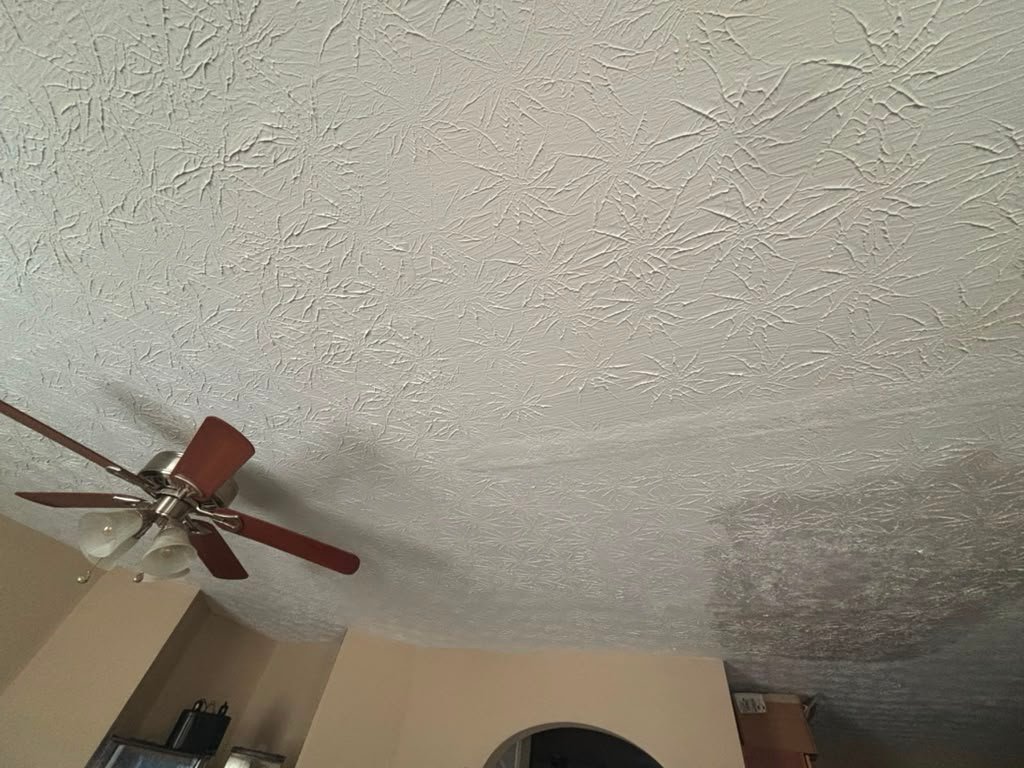 URI Painting & Renovation LLC