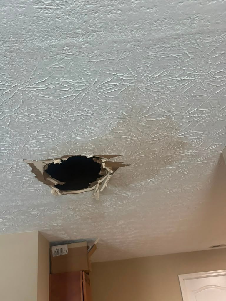 URI Painting & Renovation LLC