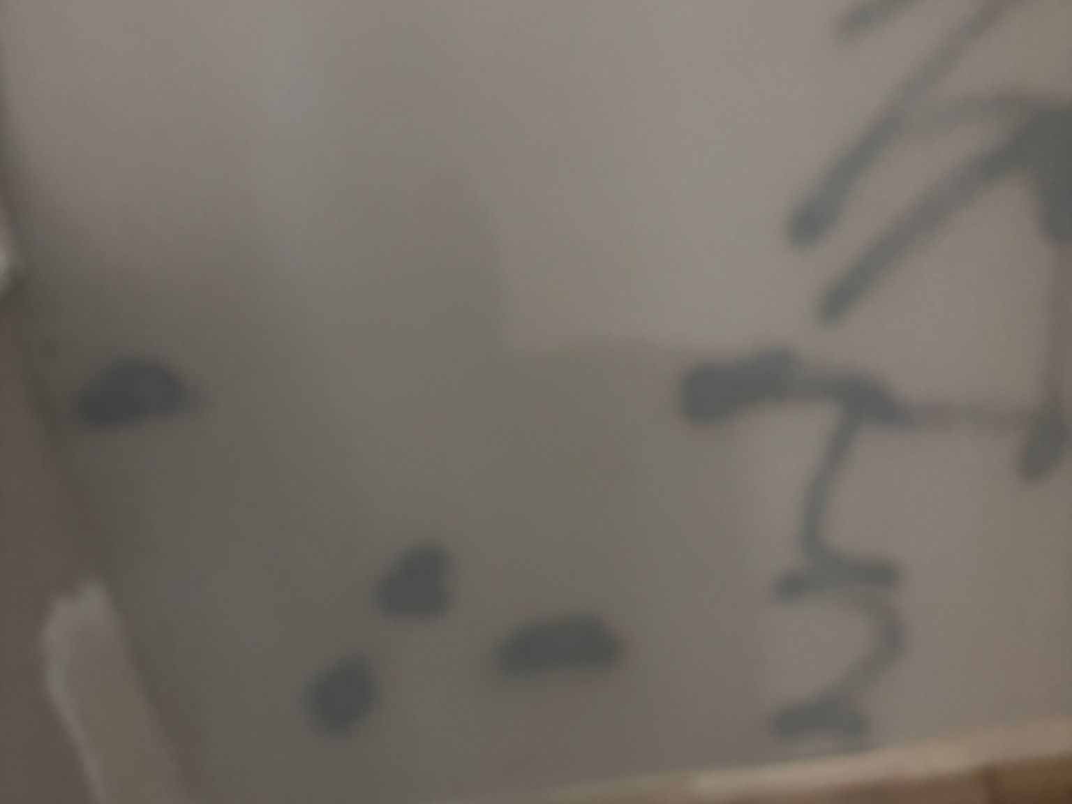 URI Painting & Renovation LLC