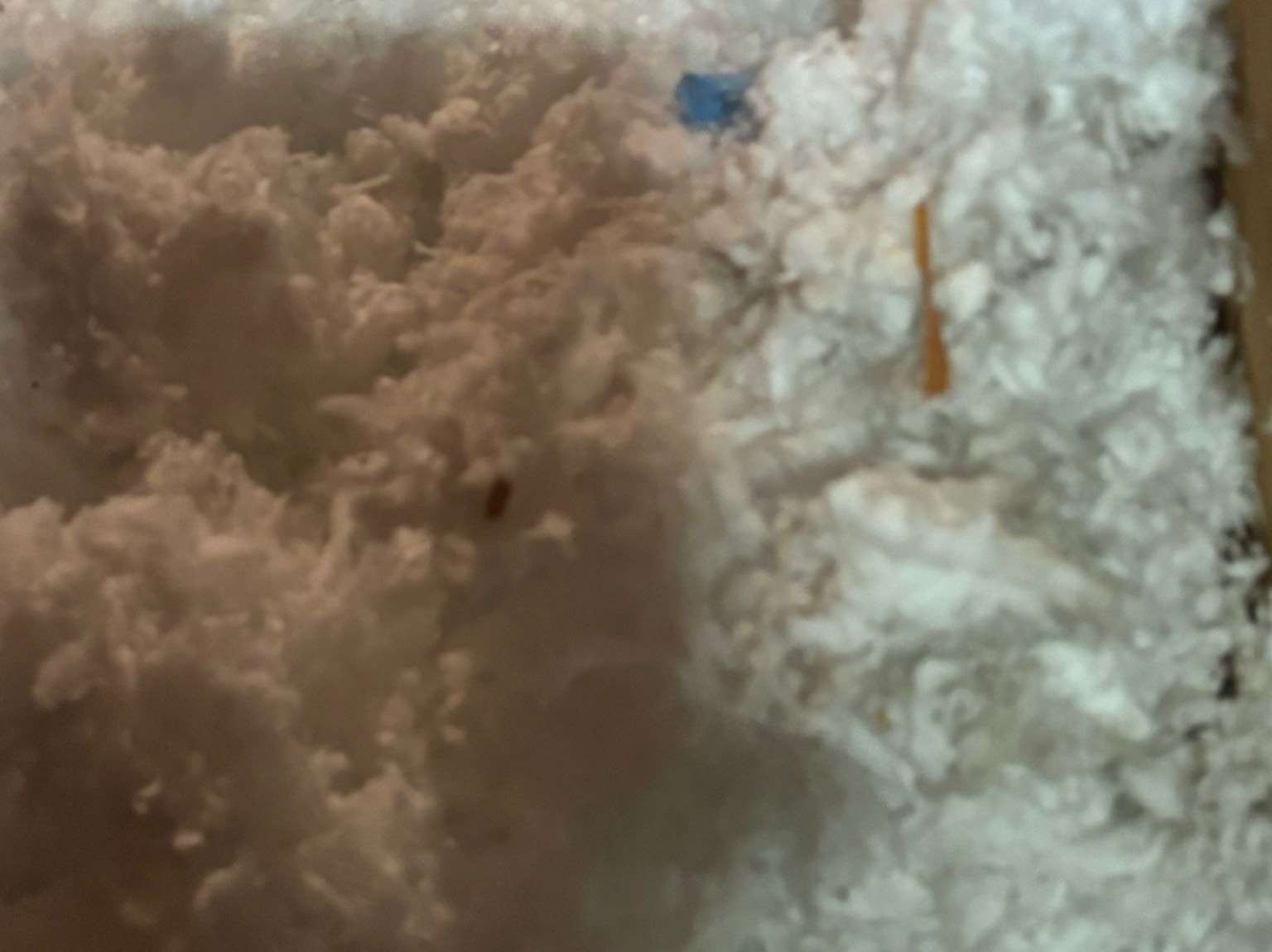 URI Painting & Renovation LLC