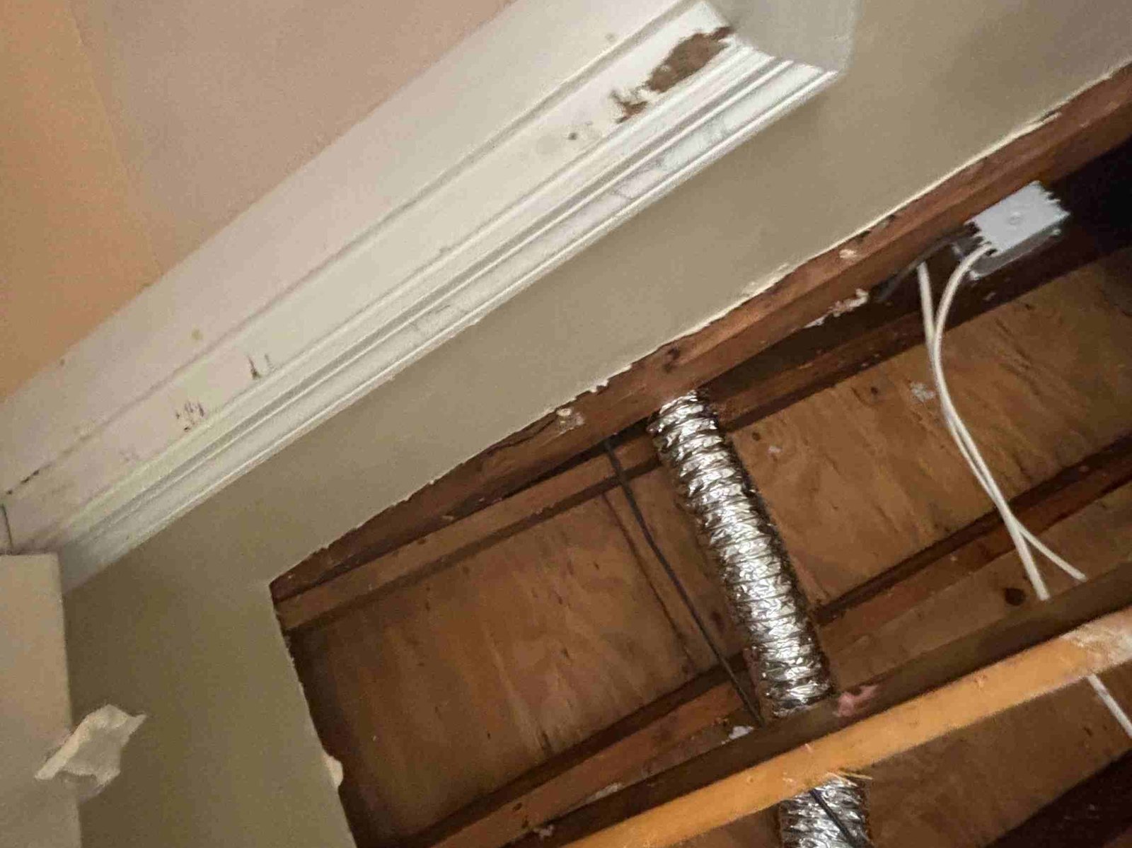 URI Painting & Renovation LLC