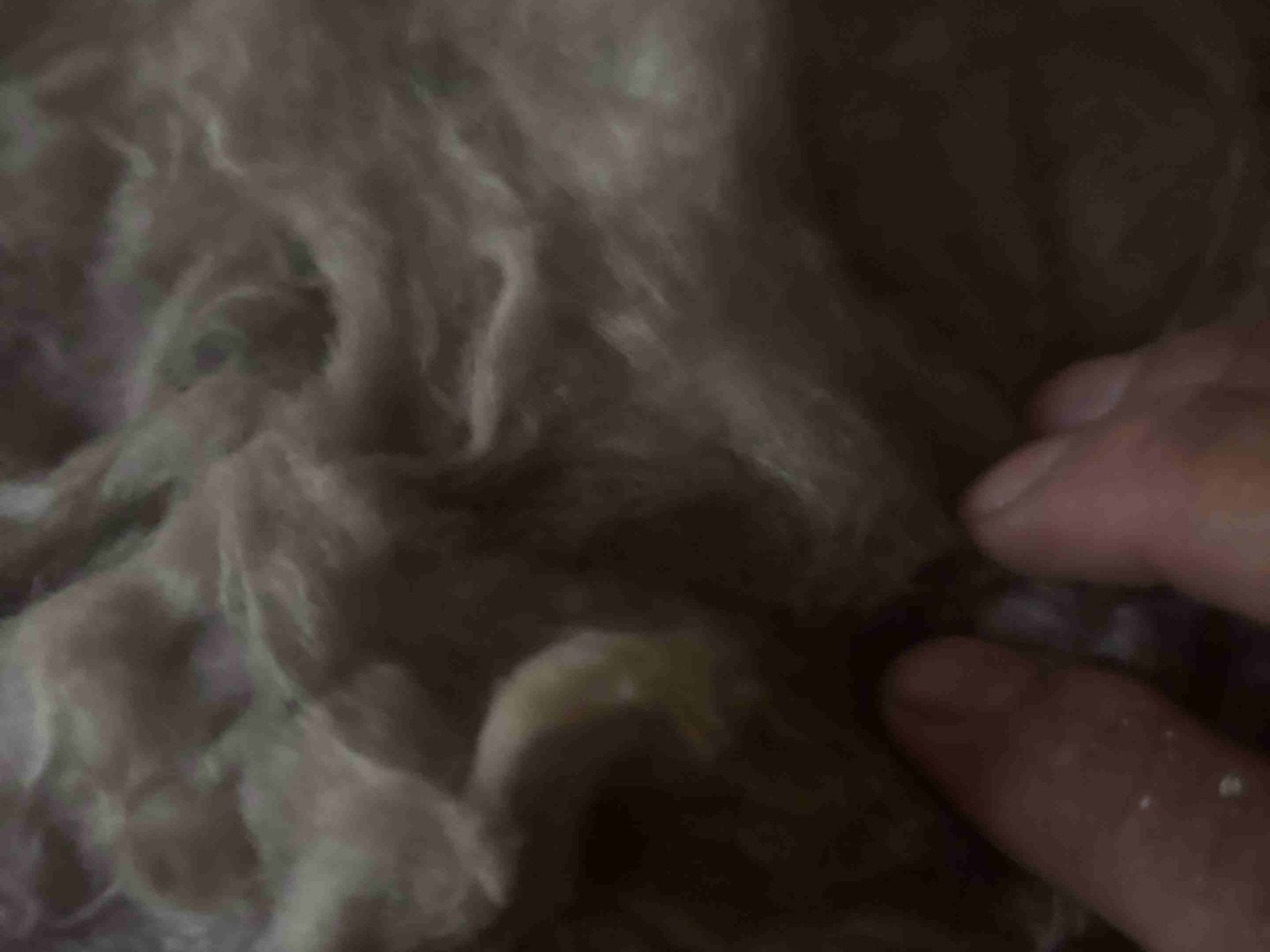 URI Painting & Renovation LLC