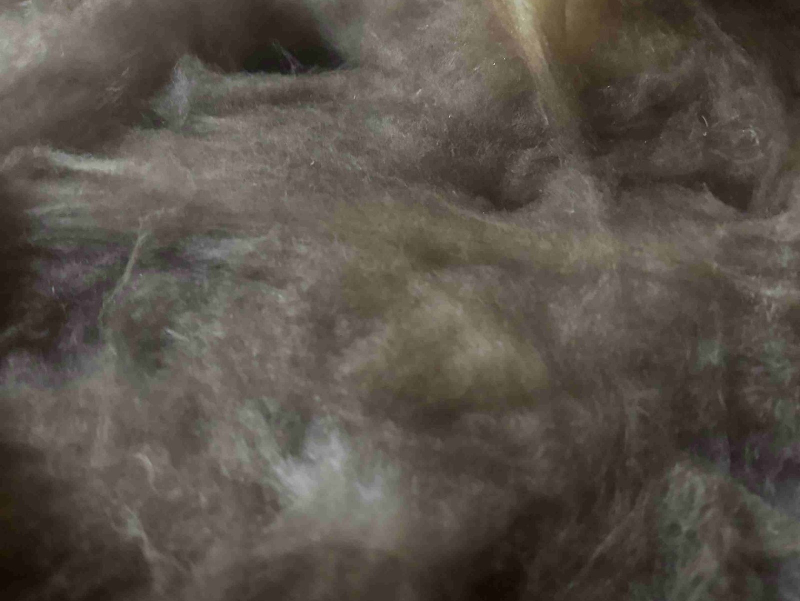 URI Painting & Renovation LLC