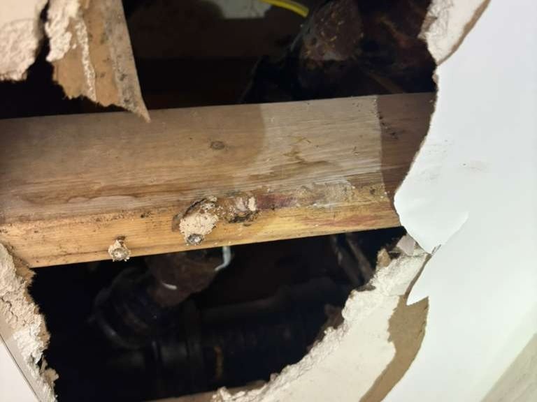 URI Painting & Renovation LLC