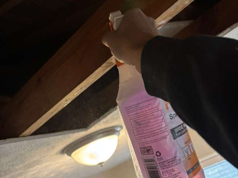 URI Painting & Renovation LLC