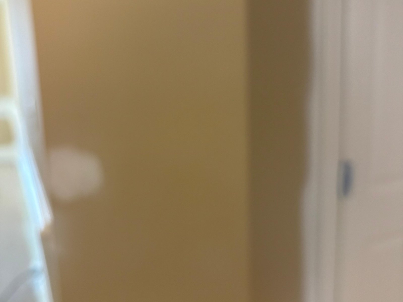 URI Painting & Renovation LLC